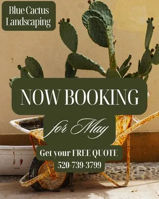 Blue Cactus Landscaping Logo