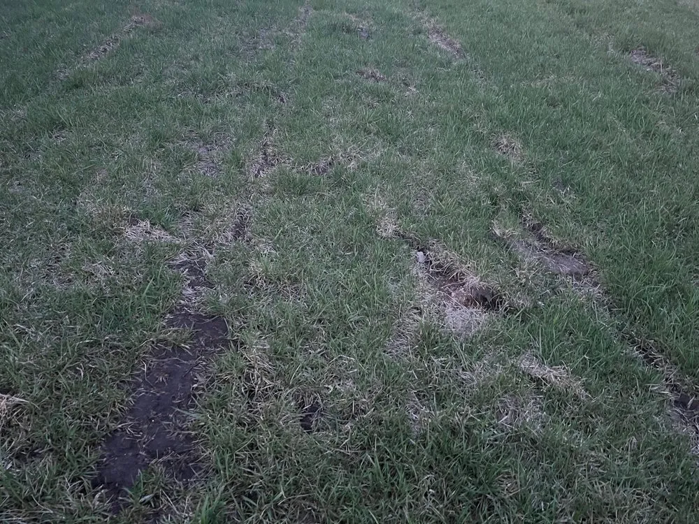 Professional landscape installation in Raymore, MO by Blue Cedar Landscape