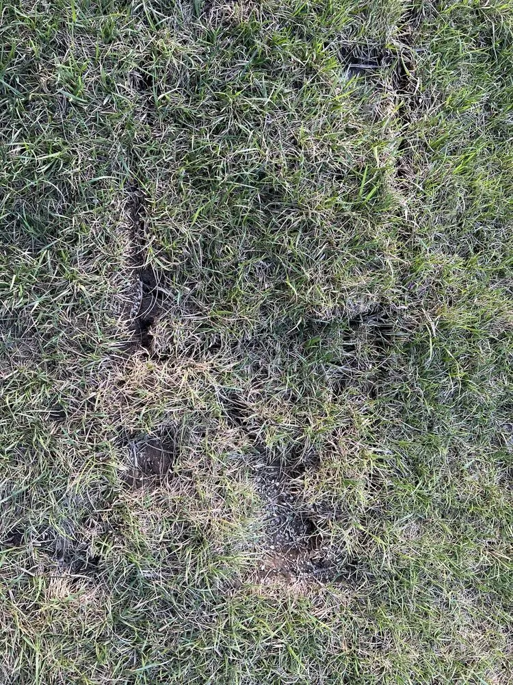 Local residential landscaping in Raymore, MO - Blue Cedar Landscape