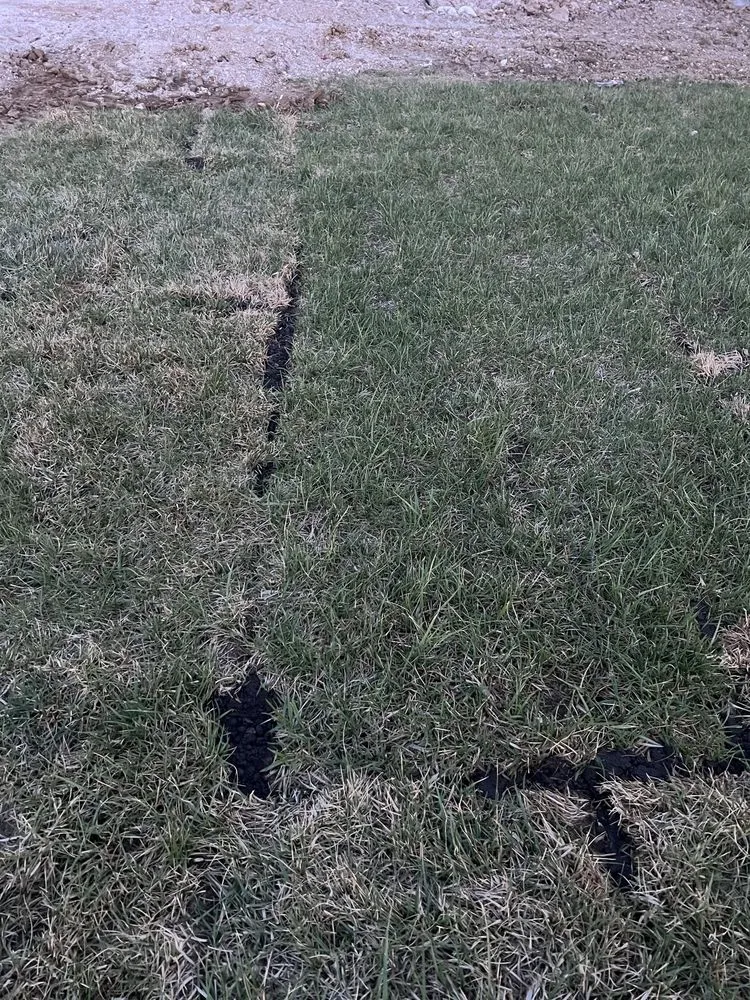 Local lawn mowing service in Raymore, MO by Blue Cedar Landscape