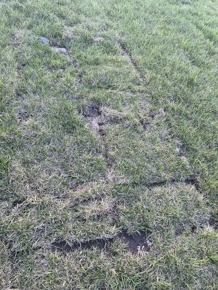 Professional lawn mowing service experts serving Raymore, MO - Blue Cedar Landscape