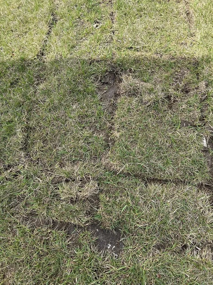 Trusted outdoor landscaping in Raymore, MO by Blue Cedar Landscape