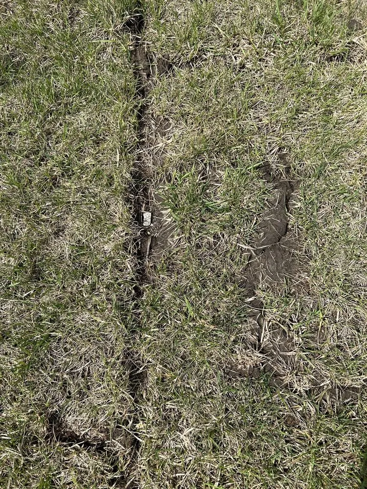 Affordable landscape design in Raymore, MO - Blue Cedar Landscape