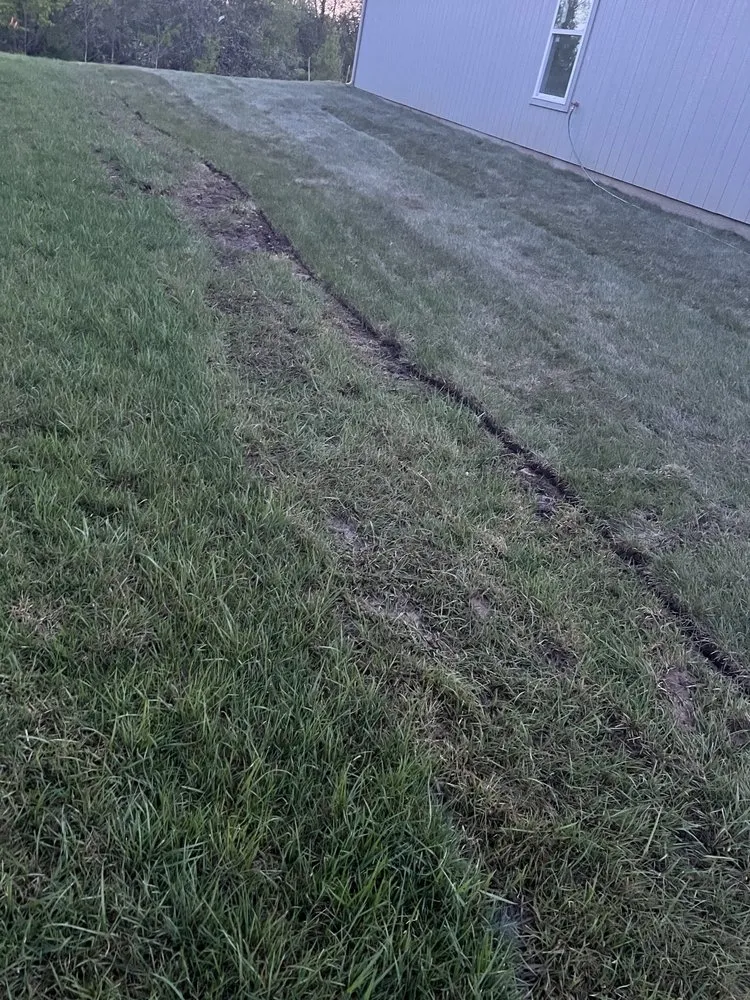 Local yard maintenance in Raymore, MO by Blue Cedar Landscape