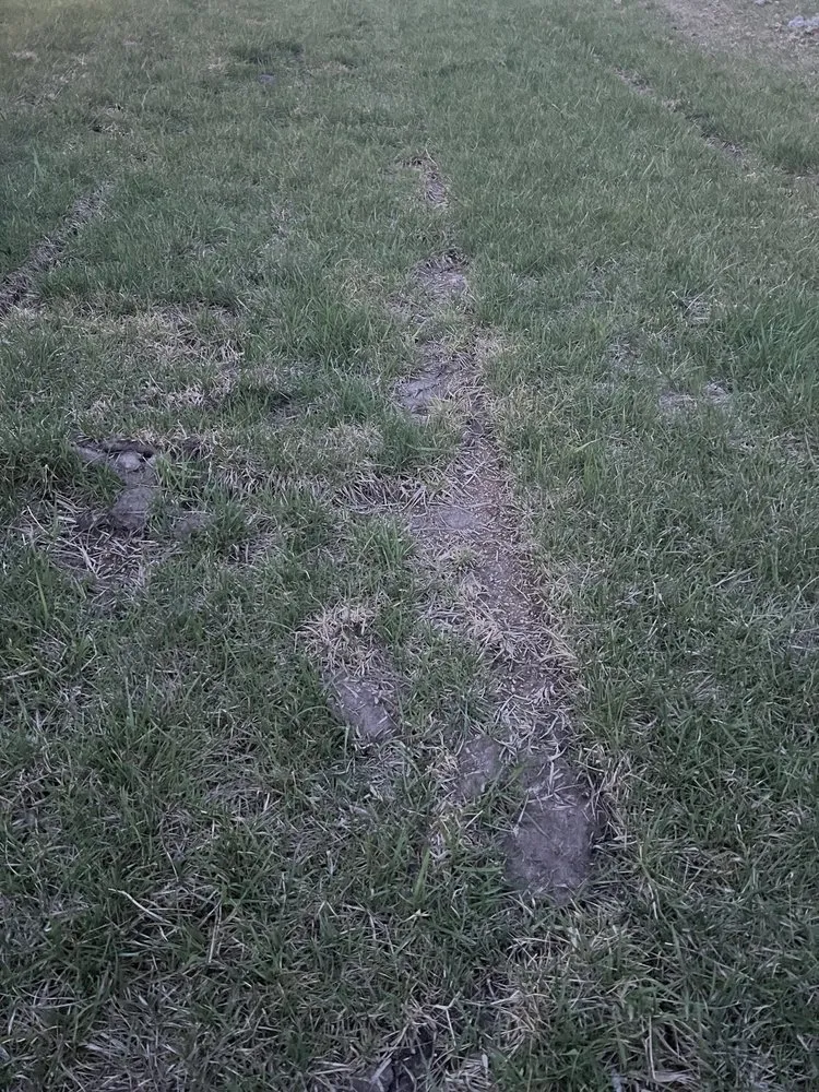 Trusted yard maintenance for residential properties across Raymore, MO - Blue Cedar Landscape