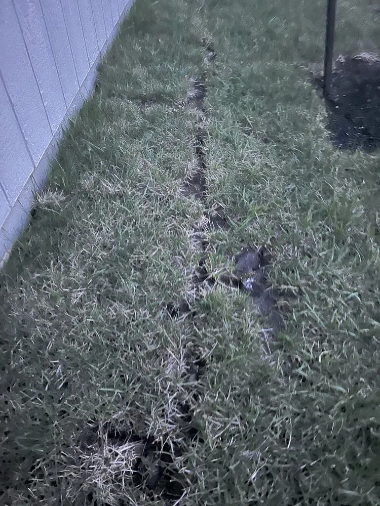 Professional landscaping services for year-round maintenance in Raymore, MO by Blue Cedar Landscape