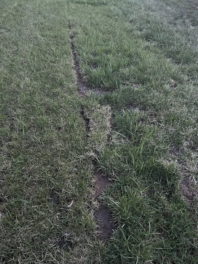 Local yard maintenance in Raymore, MO by Blue Cedar Landscape