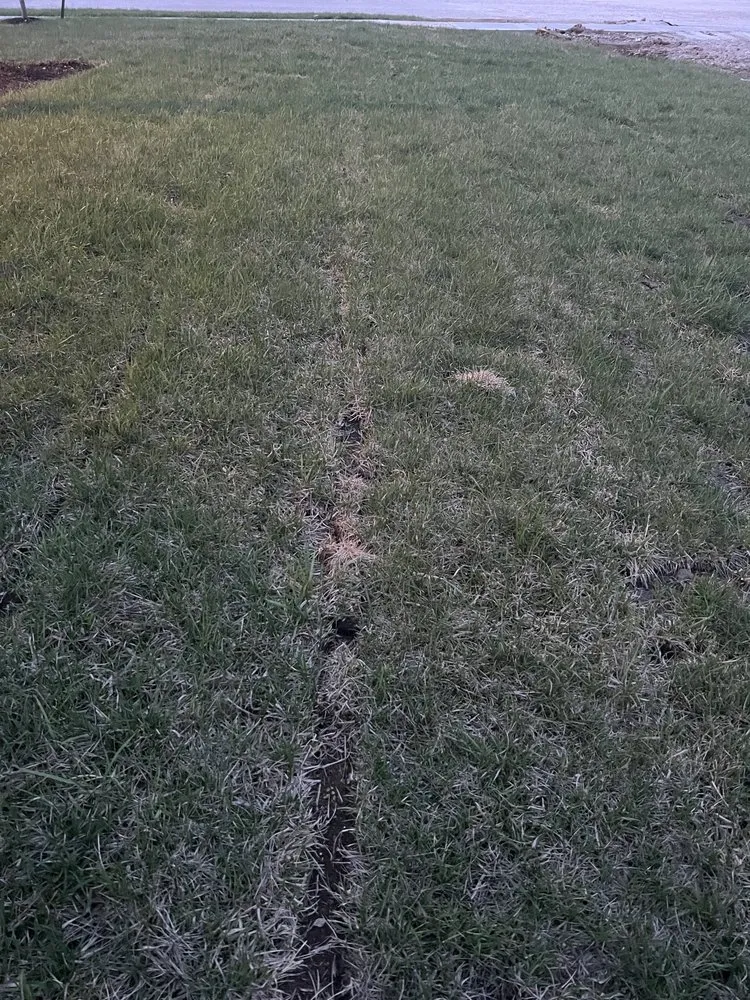 Professional yard cleanup service for beautiful yards across Raymore, MO - Blue Cedar Landscape