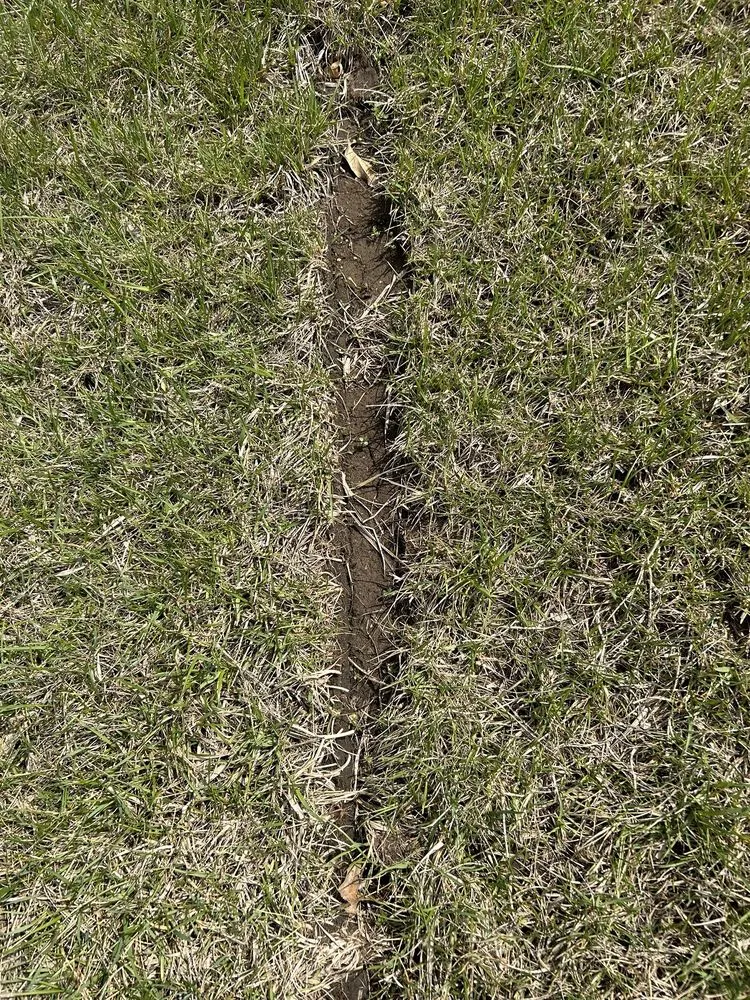 Trusted lawn care service in Raymore, MO by Blue Cedar Landscape