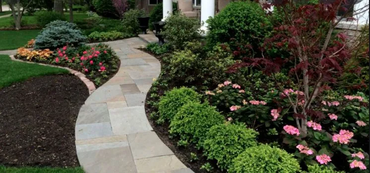 Affordable landscaping services in Canyon Lake, CA by Blue Coast Landscaping