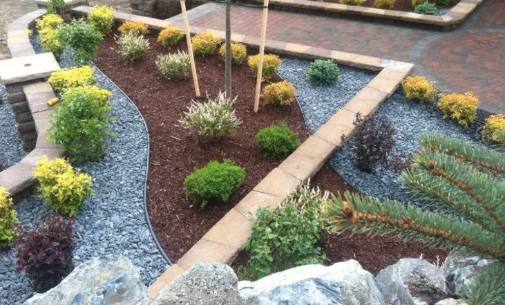 Professional landscape design experts serving Canyon Lake, CA - Blue Coast Landscaping