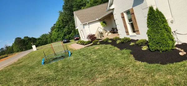 Blue Collar Boys Landscaping And Tree Service Logo