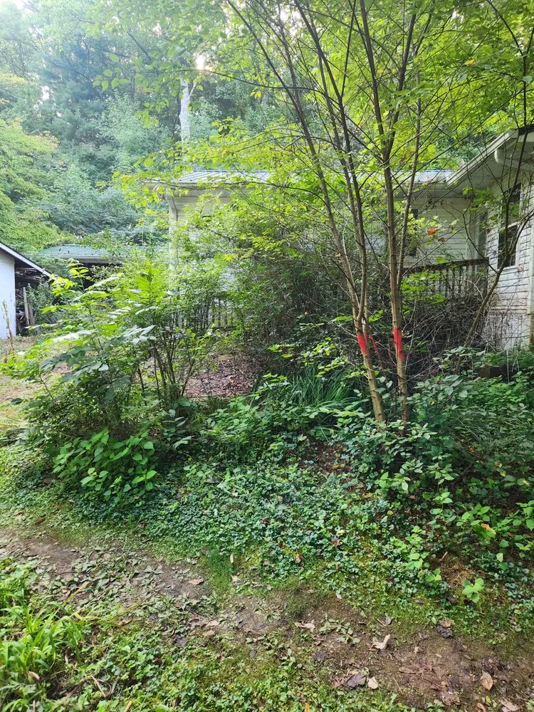 Professional residential landscaping experts serving Wartburg, TN - Blue Collar Boys Lawn and Landscaping