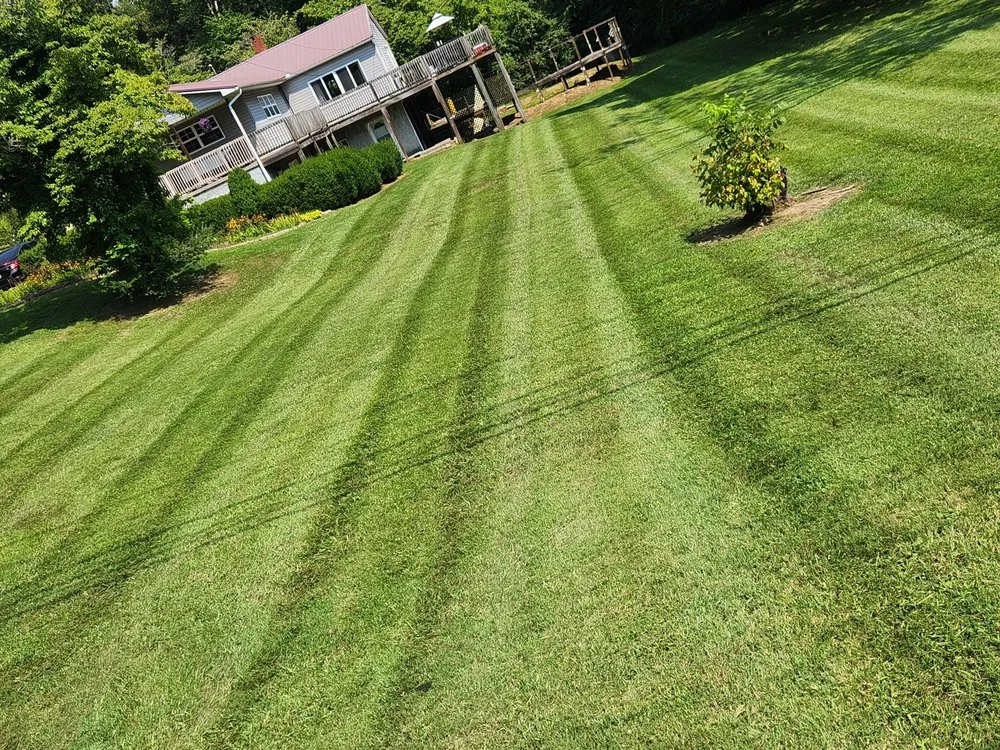 Top-rated yard cleanup service for year-round maintenance in Wartburg, TN by Blue Collar Boys Lawn and Landscaping