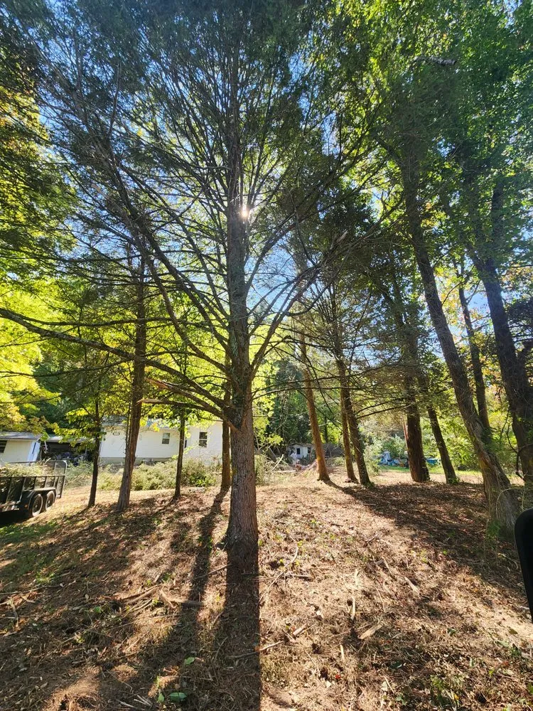 Reliable yard maintenance for residential properties in Wartburg, TN by Blue Collar Boys Lawn and Landscaping