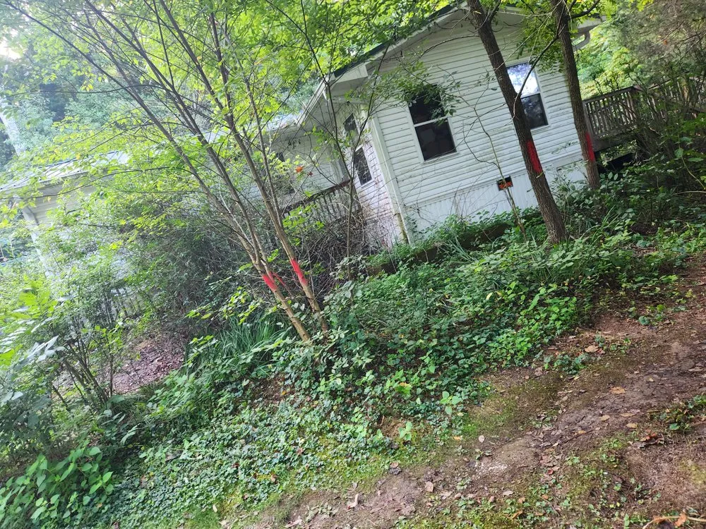 Affordable lawn care service for homes across Wartburg, TN - Blue Collar Boys Lawn and Landscaping
