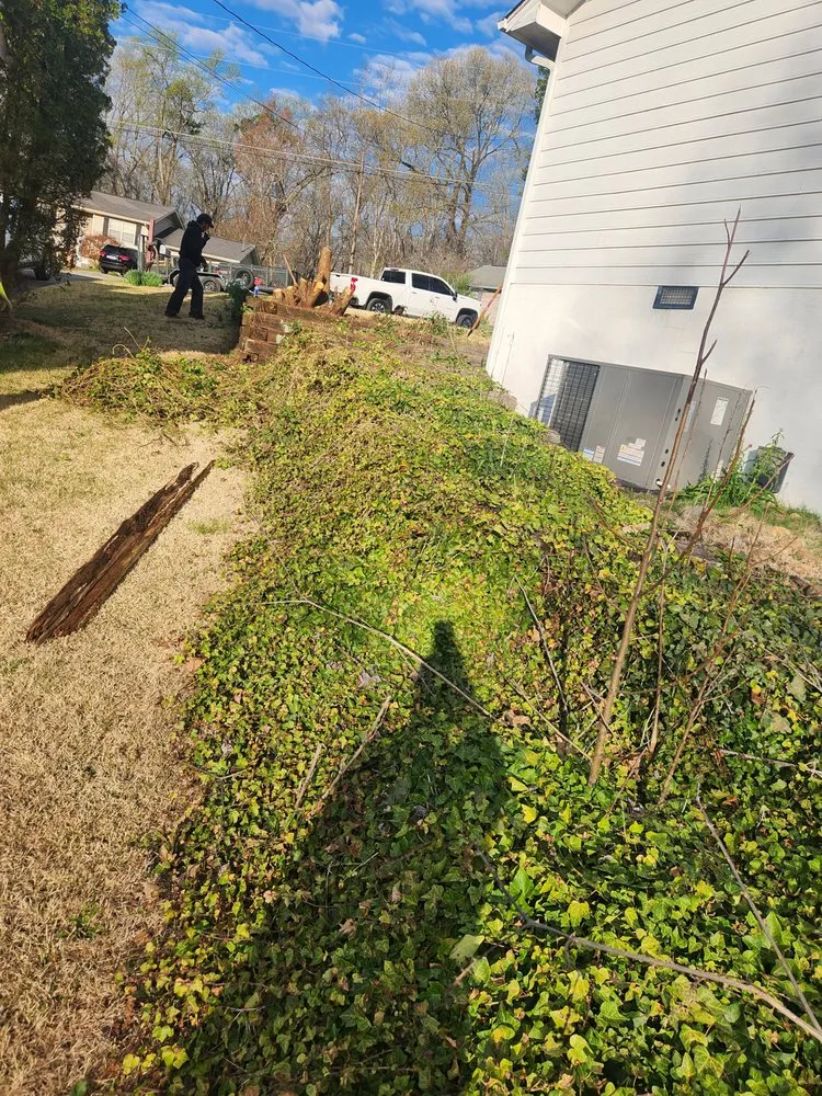 Custom lawn care service for outdoor upgrades in Wartburg, TN by Blue Collar Boys Lawn and Landscaping