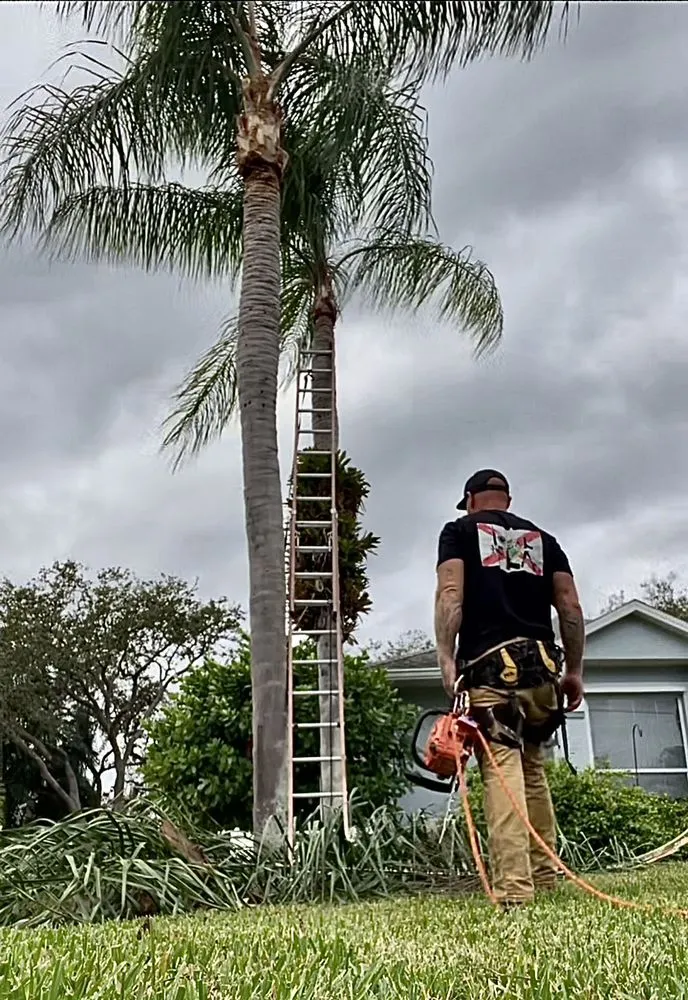 Reliable yard maintenance for year-round maintenance in Vero Beach, FL by Blue Collar Broke Trees