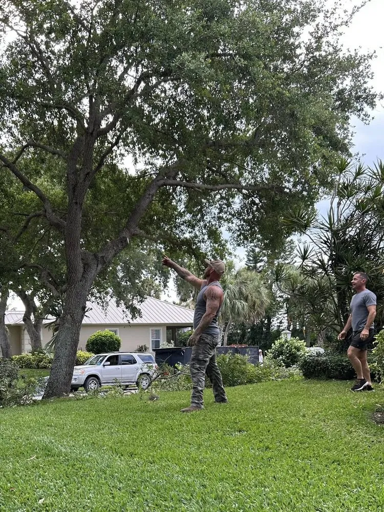 Top-rated yard maintenance experts serving Vero Beach, FL - Blue Collar Broke Trees