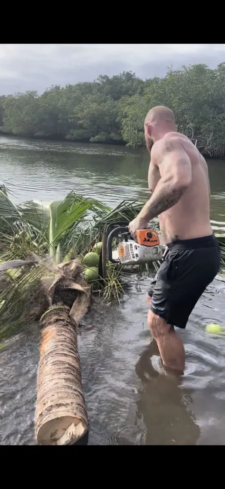 Top-rated yard maintenance with custom design across Vero Beach, FL - Blue Collar Broke Trees