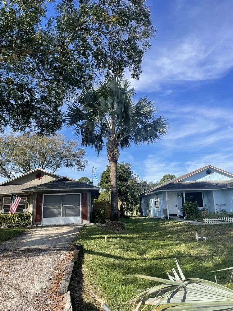 Reliable outdoor landscaping in Vero Beach, FL by Blue Collar Broke Trees