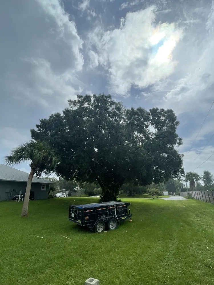 Affordable landscaping services for beautiful yards across Vero Beach, FL - Blue Collar Broke Trees