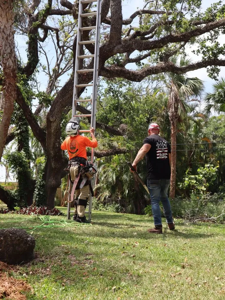 Custom yard cleanup service near you in Vero Beach, FL by Blue Collar Broke Trees