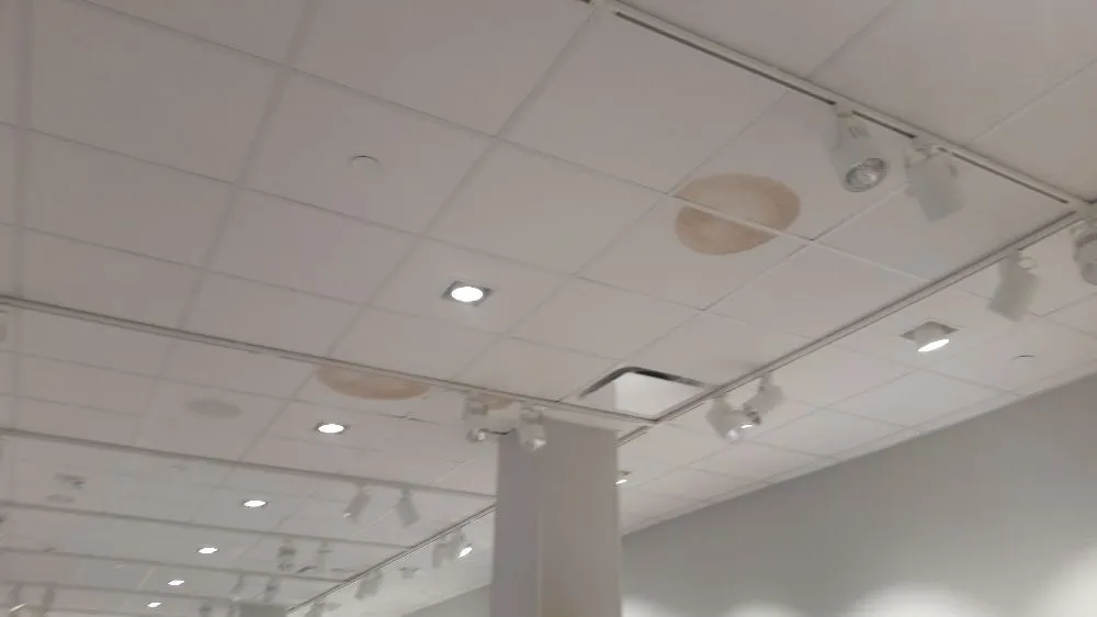 Trusted residential landscaping in Pueblo, CO by Blue Collar Building Services