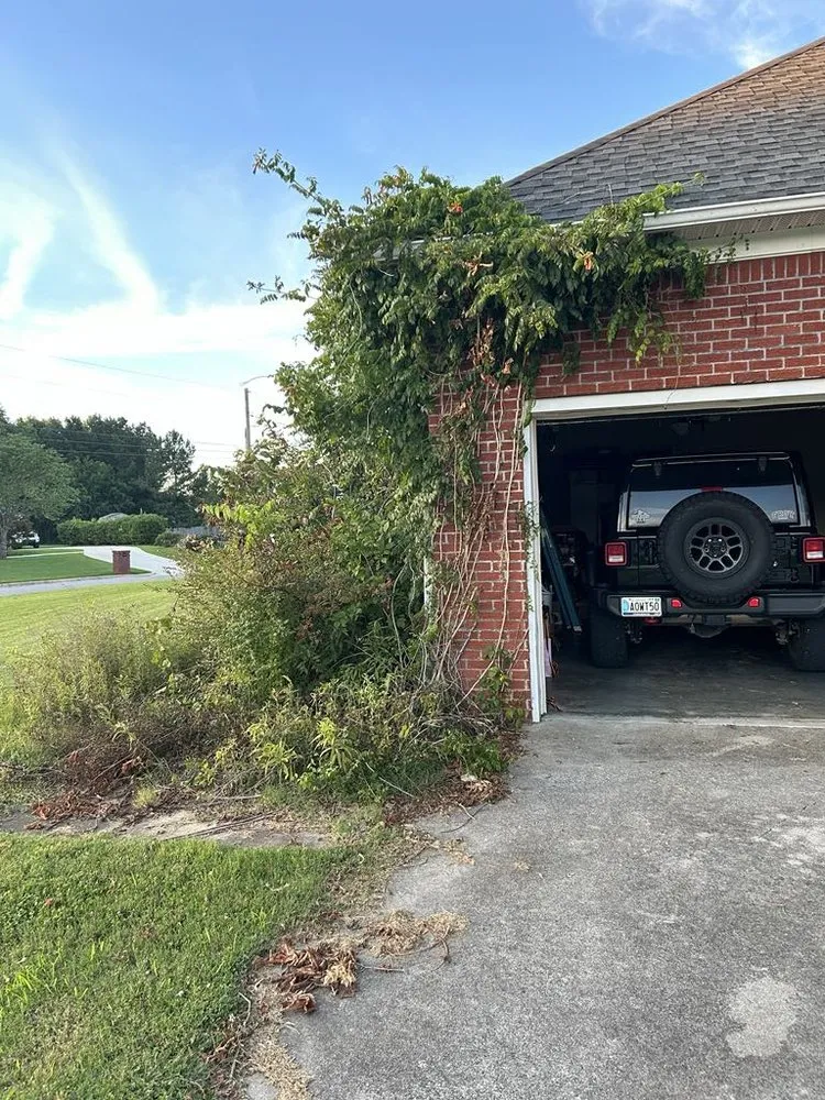 Expert lawn care service experts serving Lester, AL - Blue Collar Cleanup