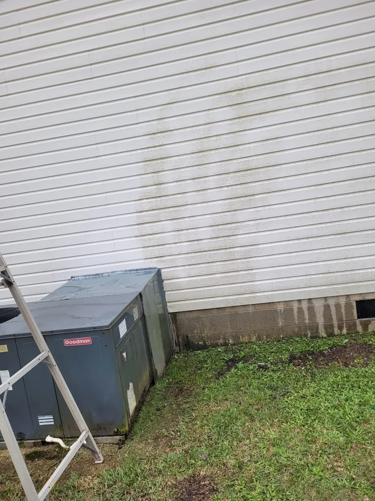 Professional yard maintenance for year-round maintenance in Nichols, SC by Blue Collar Enterprises