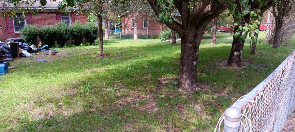 Top-rated lawn mowing service in Nichols, SC - Blue Collar Enterprises