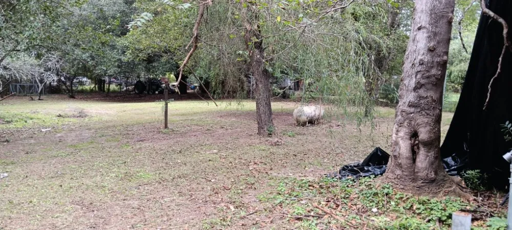 Local lawn mowing service in Nichols, SC - Blue Collar Enterprises