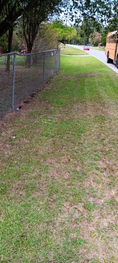 Custom landscape installation near you in Nichols, SC by Blue Collar Enterprises