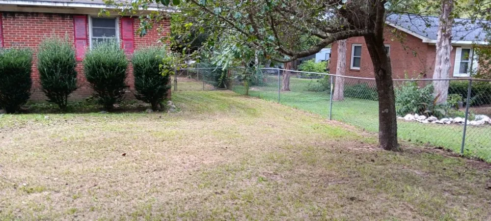 Trusted landscape installation in Nichols, SC - Blue Collar Enterprises