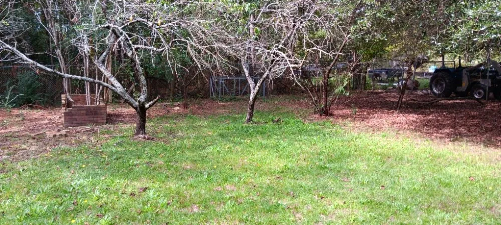 Reliable residential landscaping for residential properties in Nichols, SC by Blue Collar Enterprises