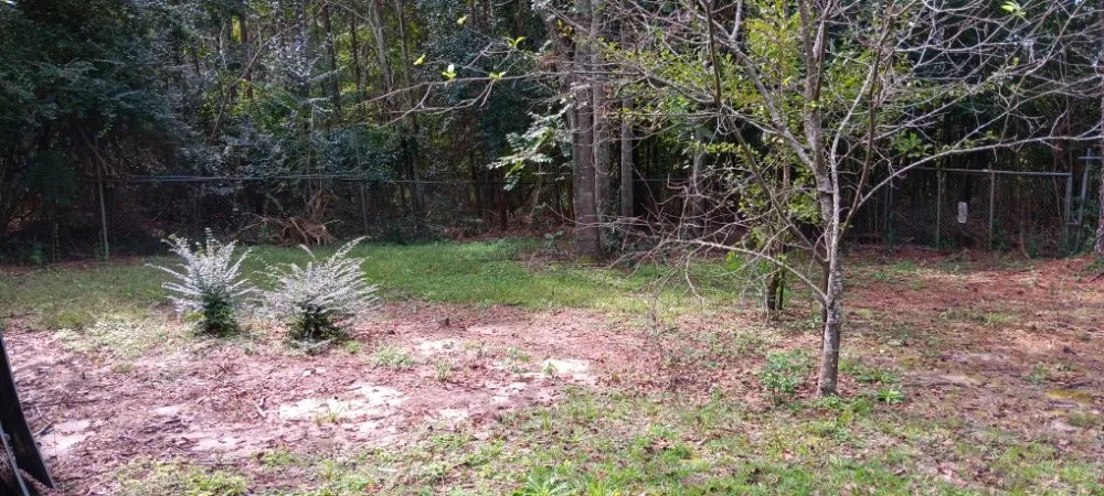 Local garden landscaping with custom design across Nichols, SC - Blue Collar Enterprises