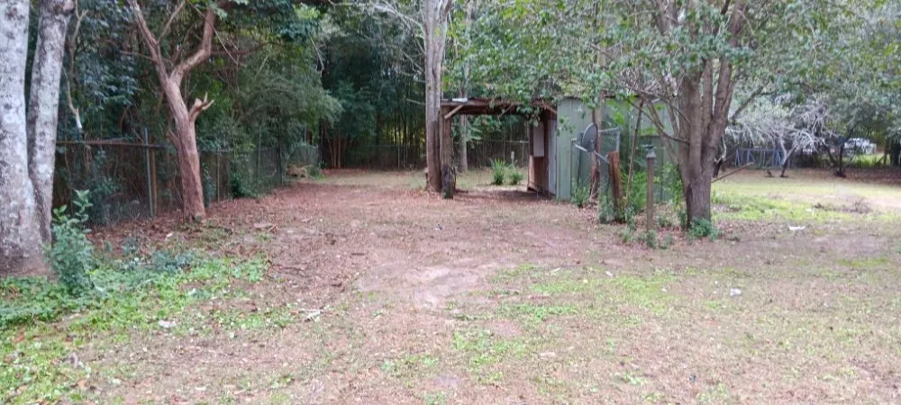 Professional yard cleanup service for residential properties in Nichols, SC by Blue Collar Enterprises