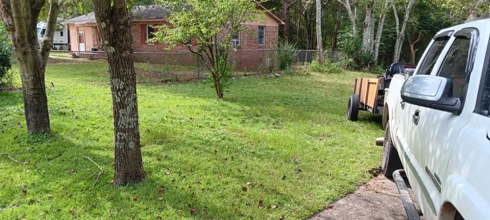 Custom yard cleanup service for outdoor upgrades across Nichols, SC - Blue Collar Enterprises