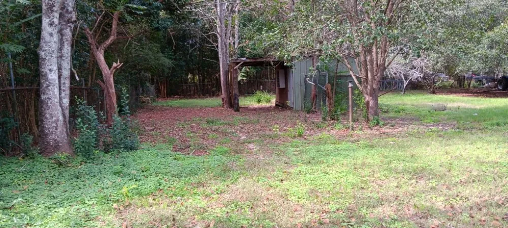 Trusted lawn mowing service experts serving Nichols, SC - Blue Collar Enterprises