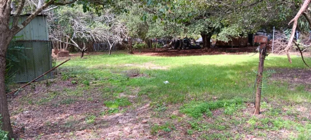 Local lawn mowing service in Nichols, SC by Blue Collar Enterprises