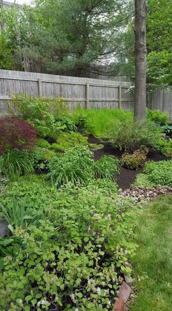 Expert lawn mowing service in Quakertown, PA - Blue Collar Lawn Service