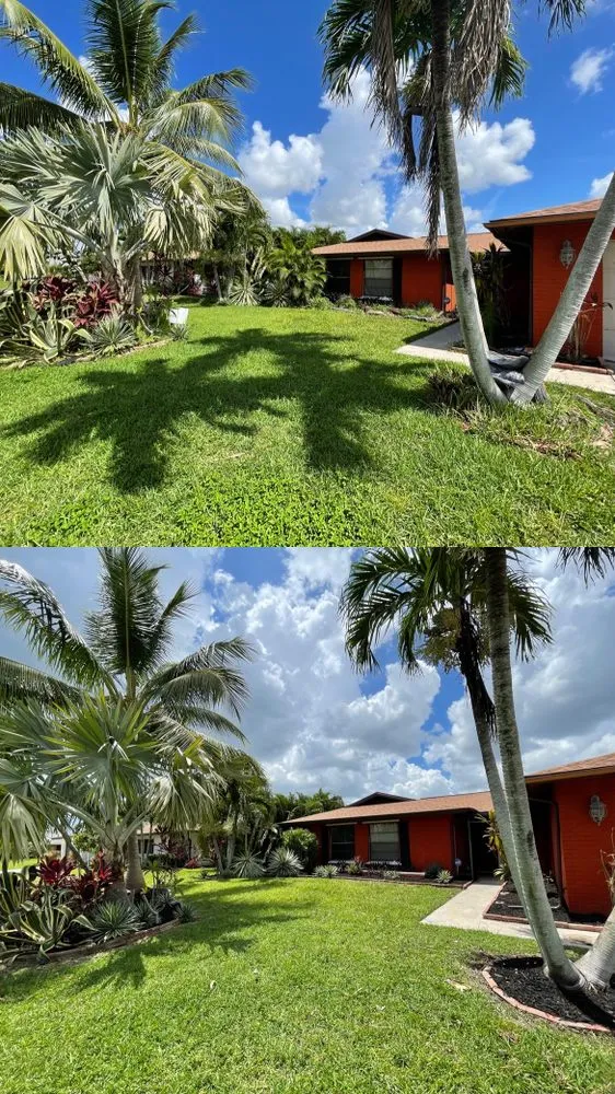 Trusted outdoor landscaping in Cape Coral, FL - Blue Collar Q