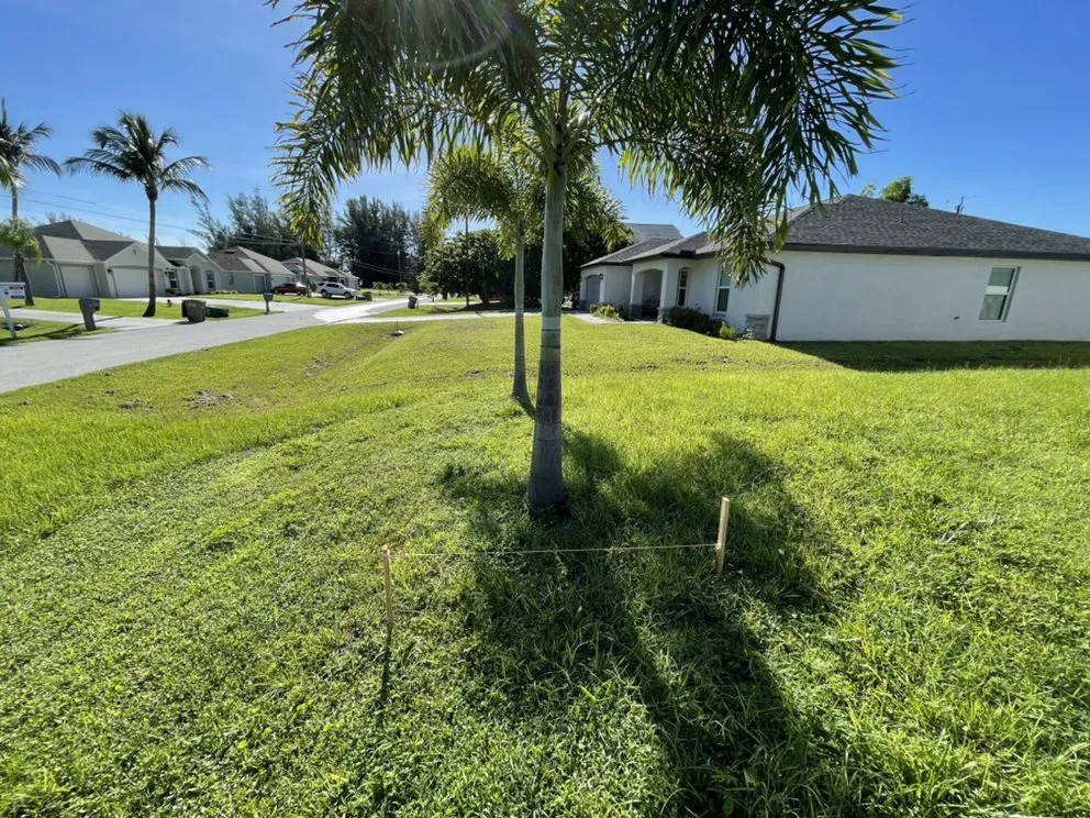 Expert lawn care service experts serving Cape Coral, FL - Blue Collar Q