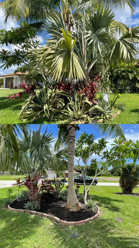 Local landscape design in Cape Coral, FL by Blue Collar Q