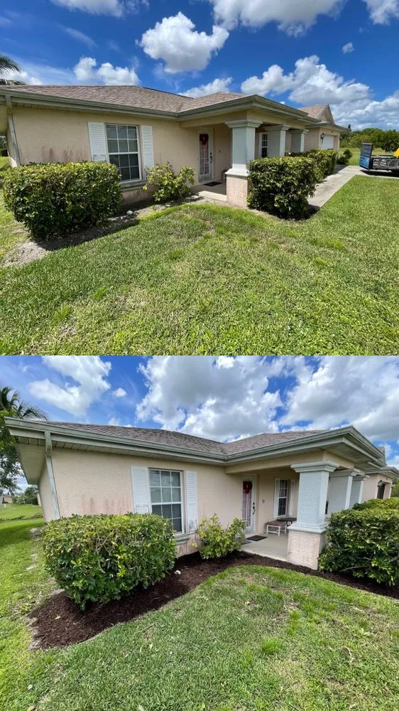 Expert yard cleanup service in Cape Coral, FL by Blue Collar Q