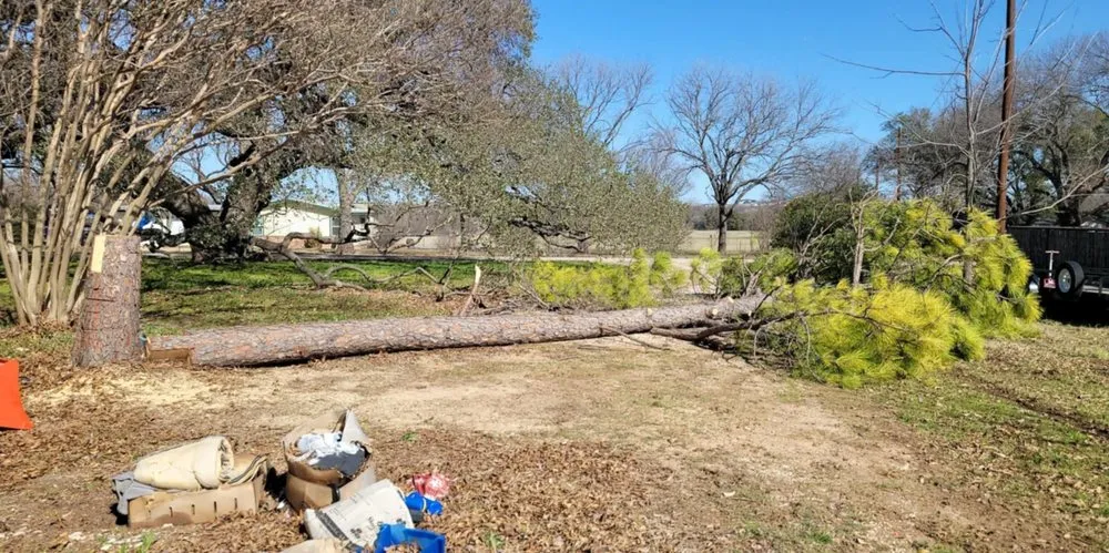 Local landscape design in Burleson, TX by Blue Collar Services
