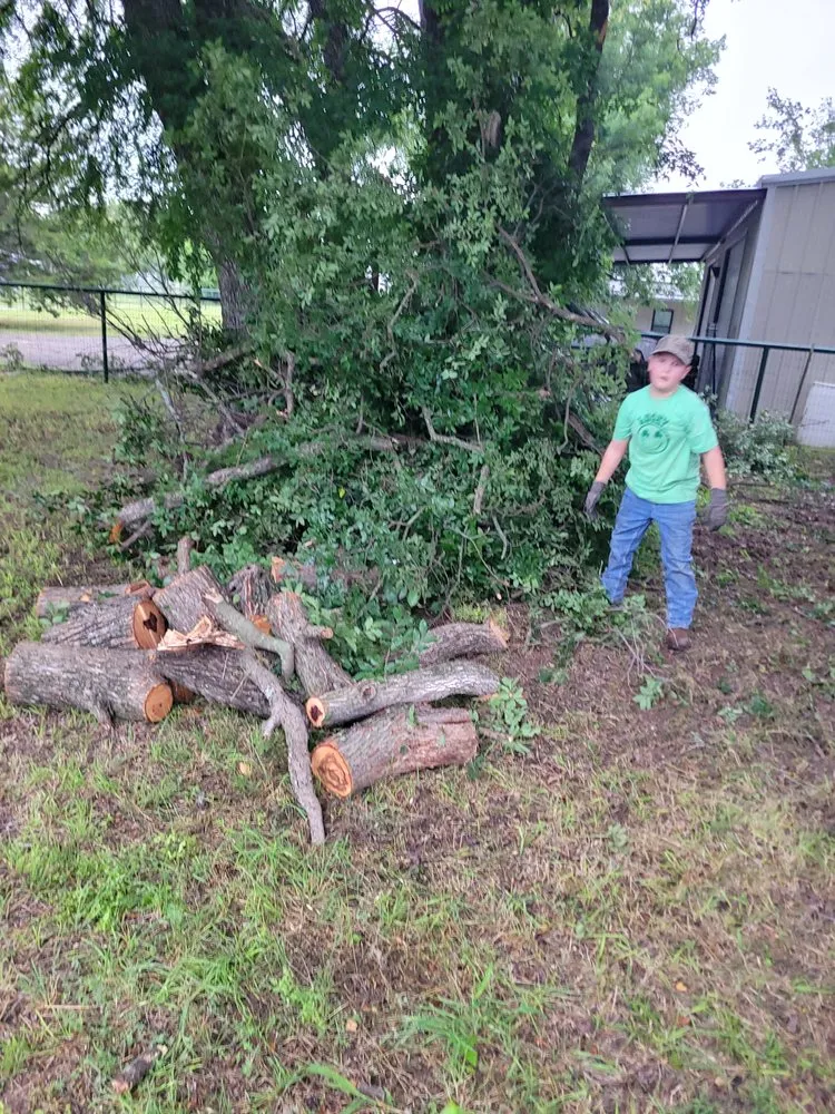 Top-rated garden landscaping near you in Burleson, TX by Blue Collar Services