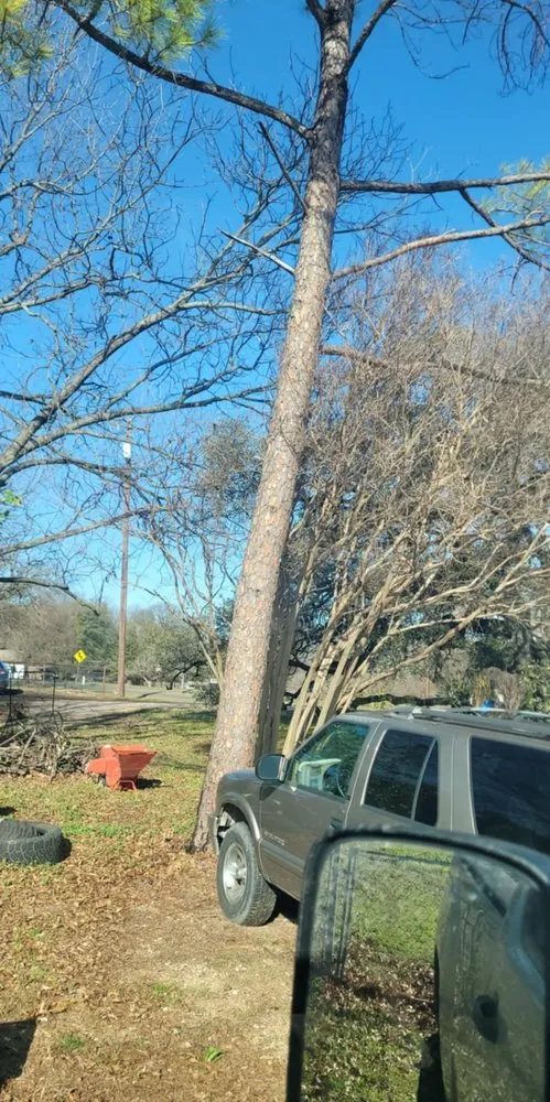 Affordable landscaping services near you in Burleson, TX by Blue Collar Services