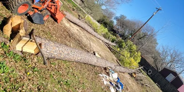 Blue Collar Services Logo