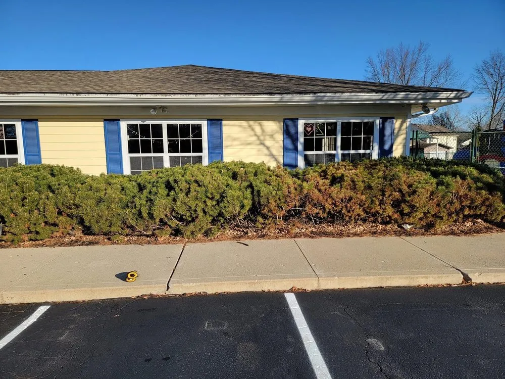 Professional yard cleanup service in Pittsboro, IN - Blue Collar Serviecs